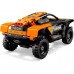 LEGO Technic 42166 NEOM McLaren Extreme E Race Car